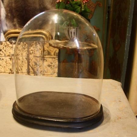 Glass Dome and Base