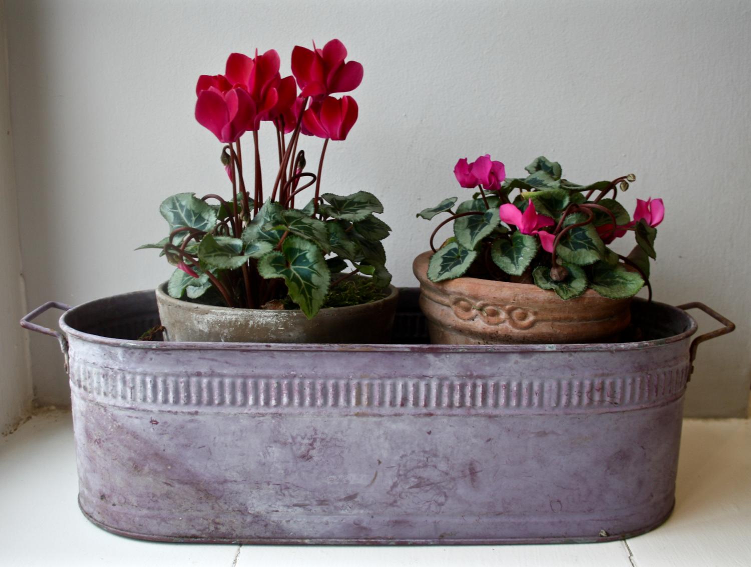 Vintage tin planter in original paint