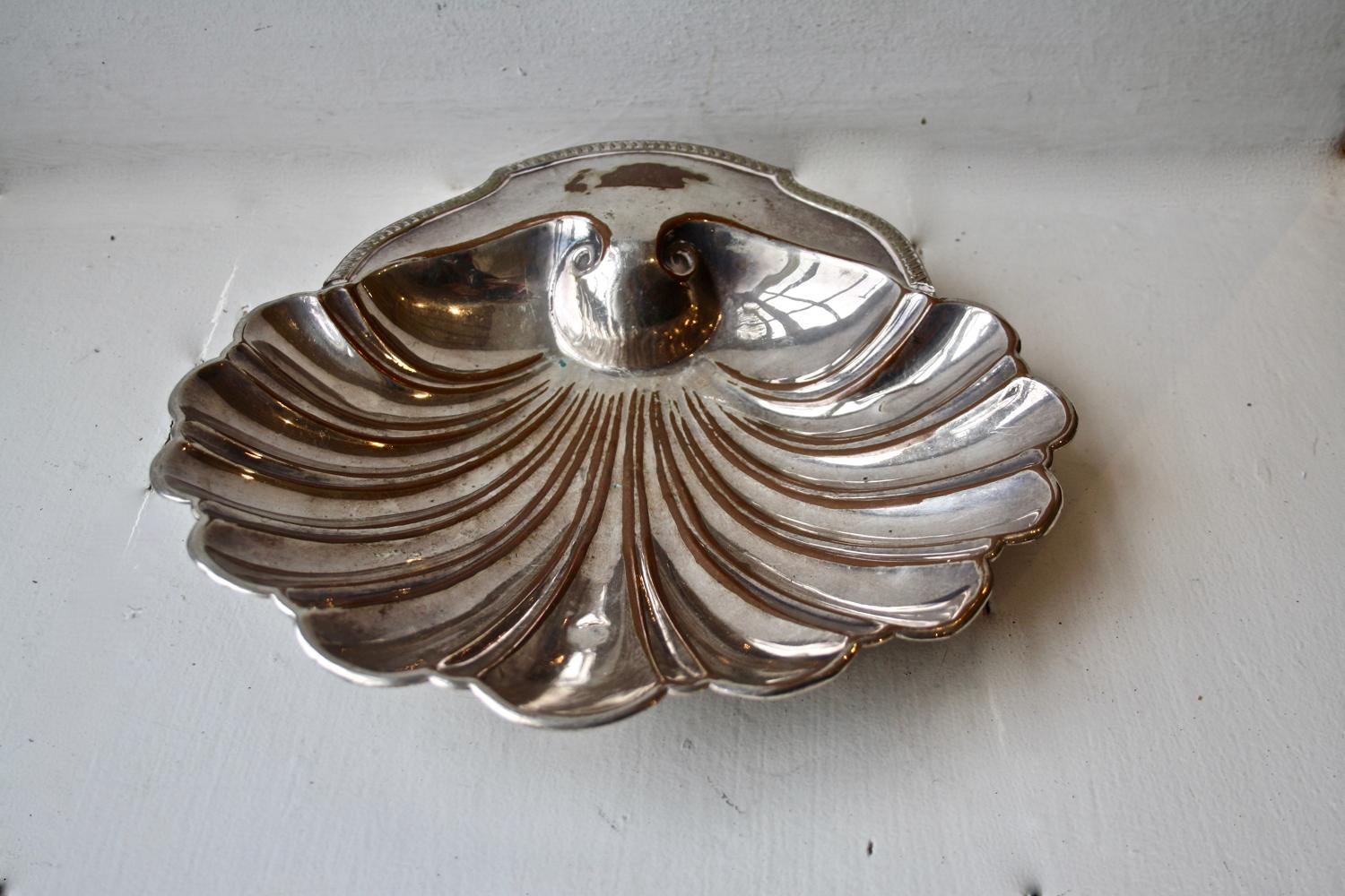 Large silver shell