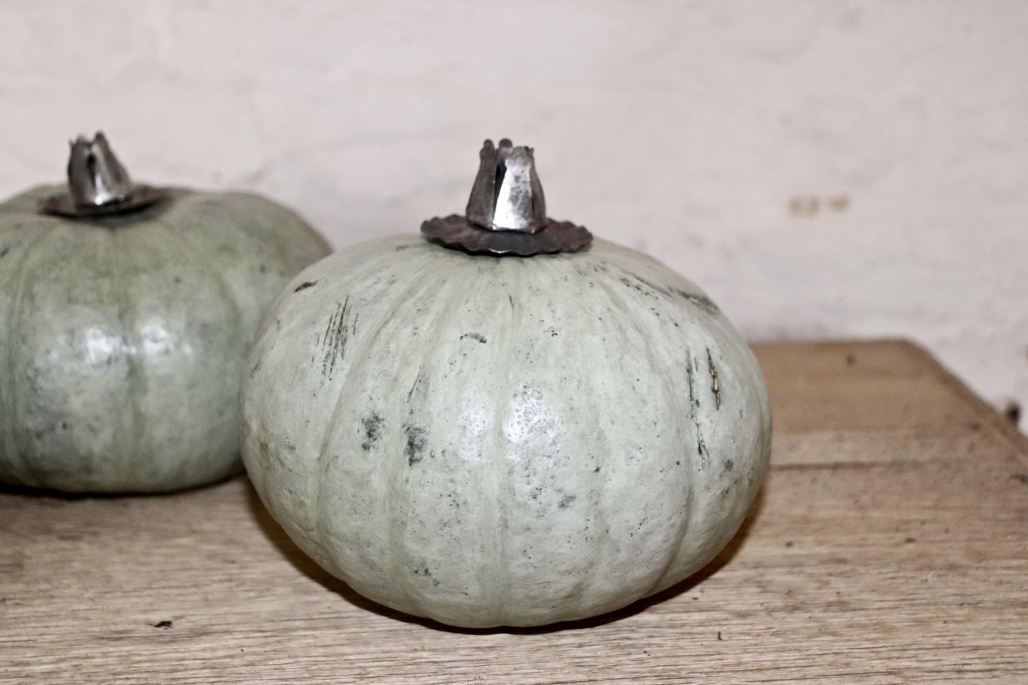 Pumpkins with 19th century candle inserts