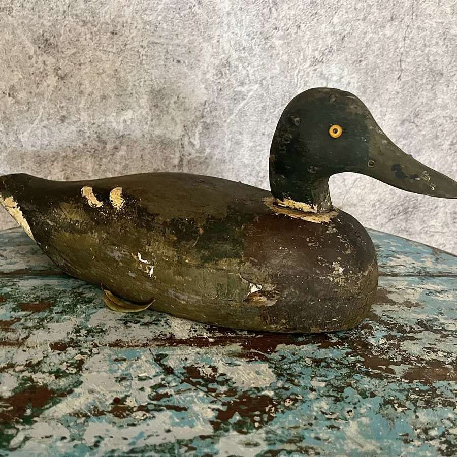 Late 19th or early 20th century decoy duck