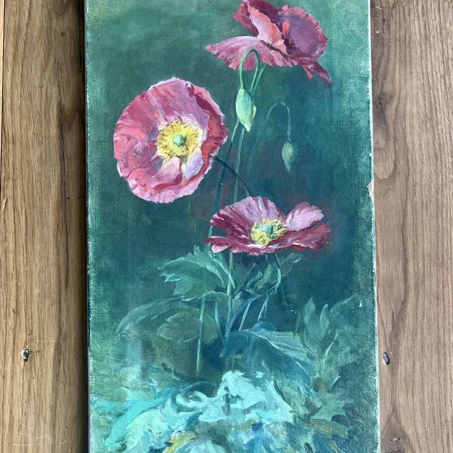 Oil on canvas - pink anemones