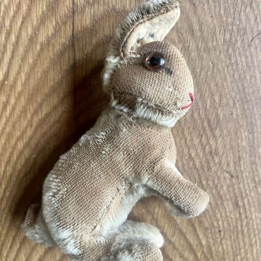 Small rabbit