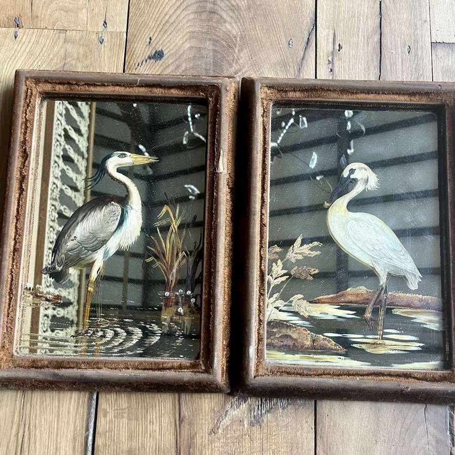 Pair of mid century ornithological mirrors